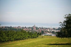 Aussicht auf den Bodensee